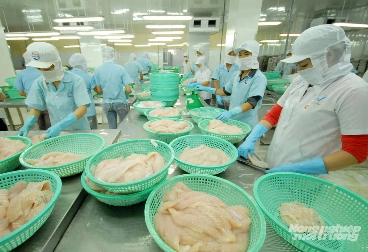 Vietnamese seafood boosts market share in Chile